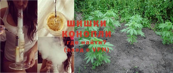 спайс Карпинск