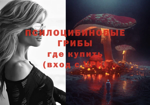 ПСИЛОЦИБИНОВЫЕ ГРИБЫ Карталы
